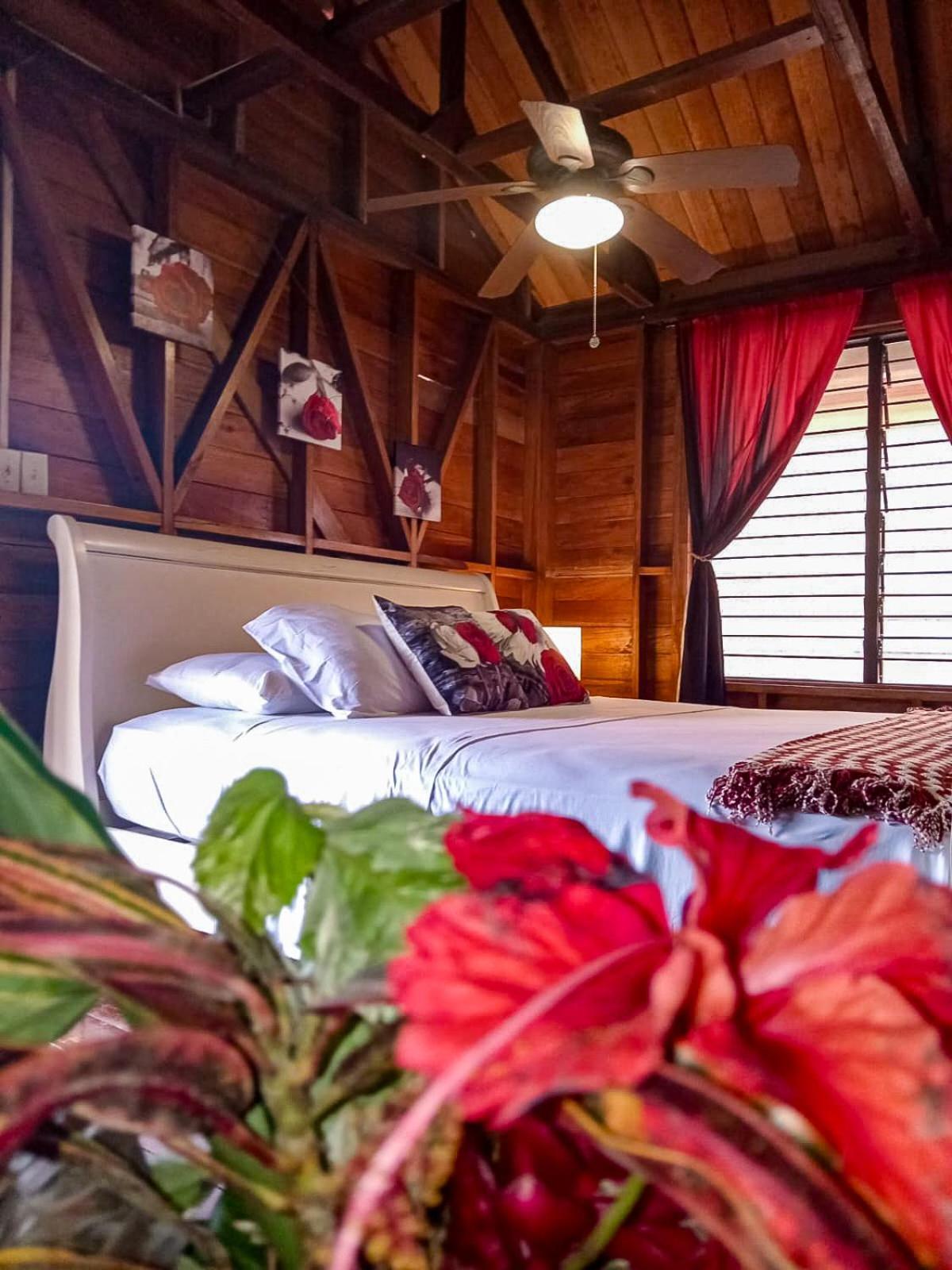 Villa Bahia Del Sol Бокас Екстер'єр фото